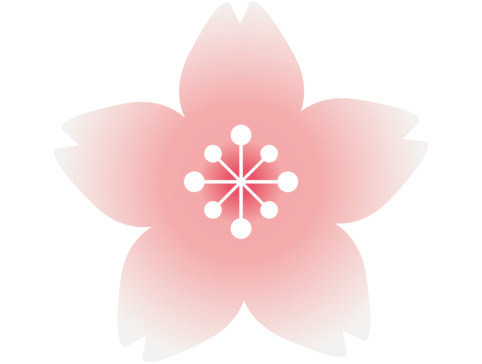Cherry blossom icon